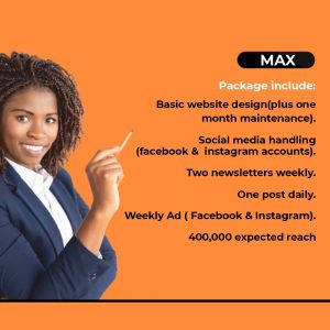 Web design service - Max Package
