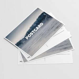 A6 Flyers Single Sided